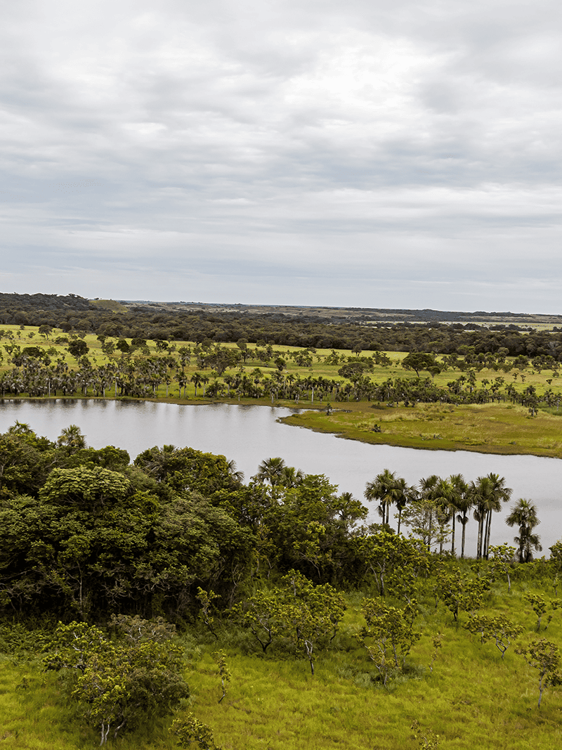 Asounuma_territorio_p